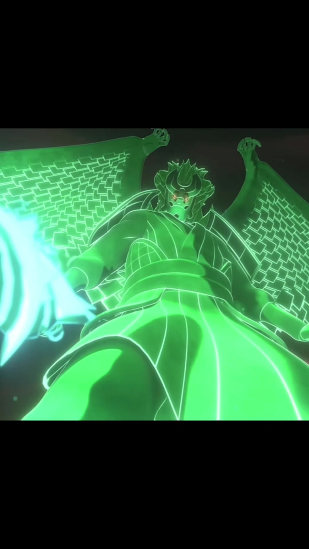 @Lobo branco