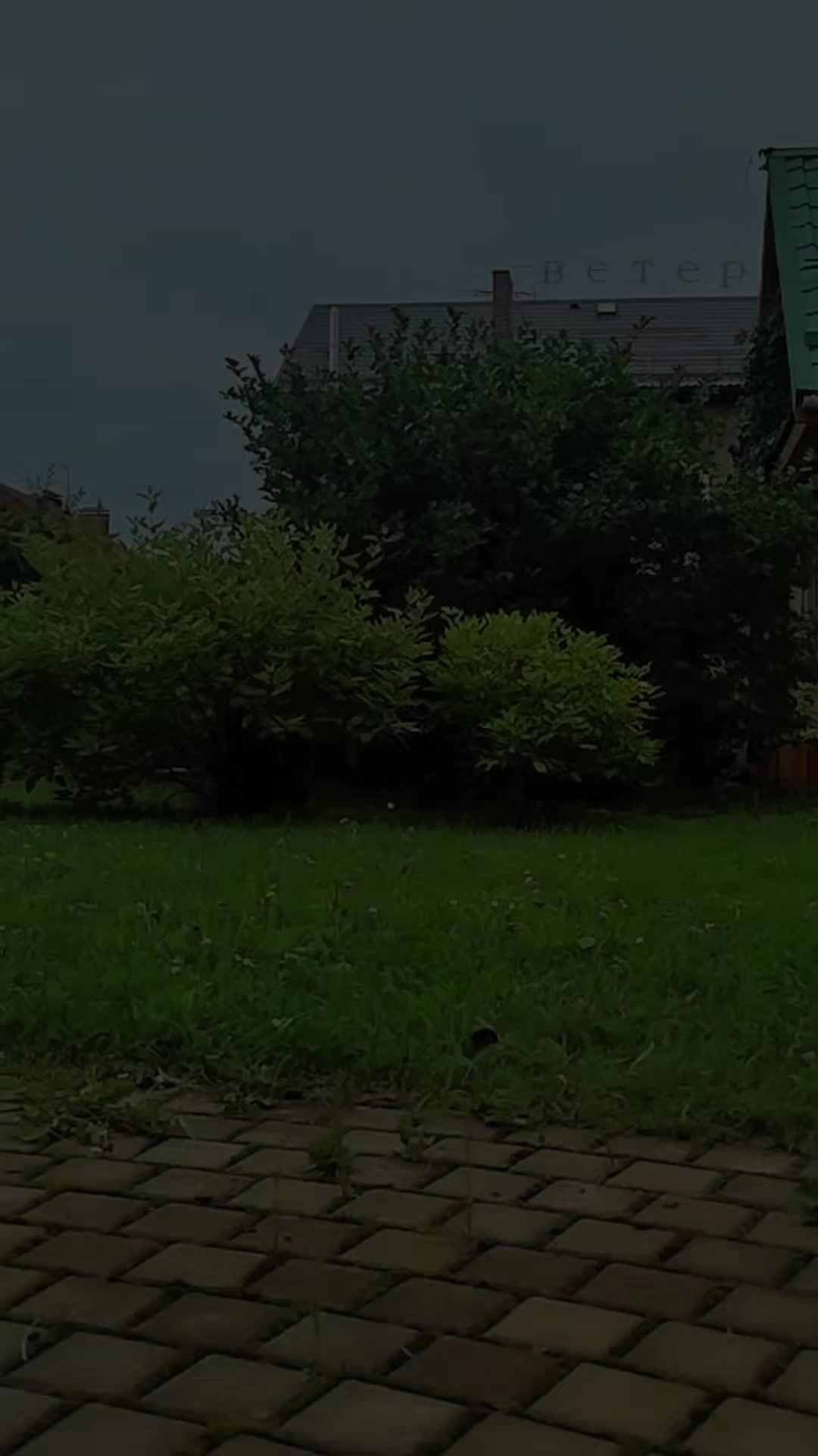 @☣_ßе⍑еᎵ_☣