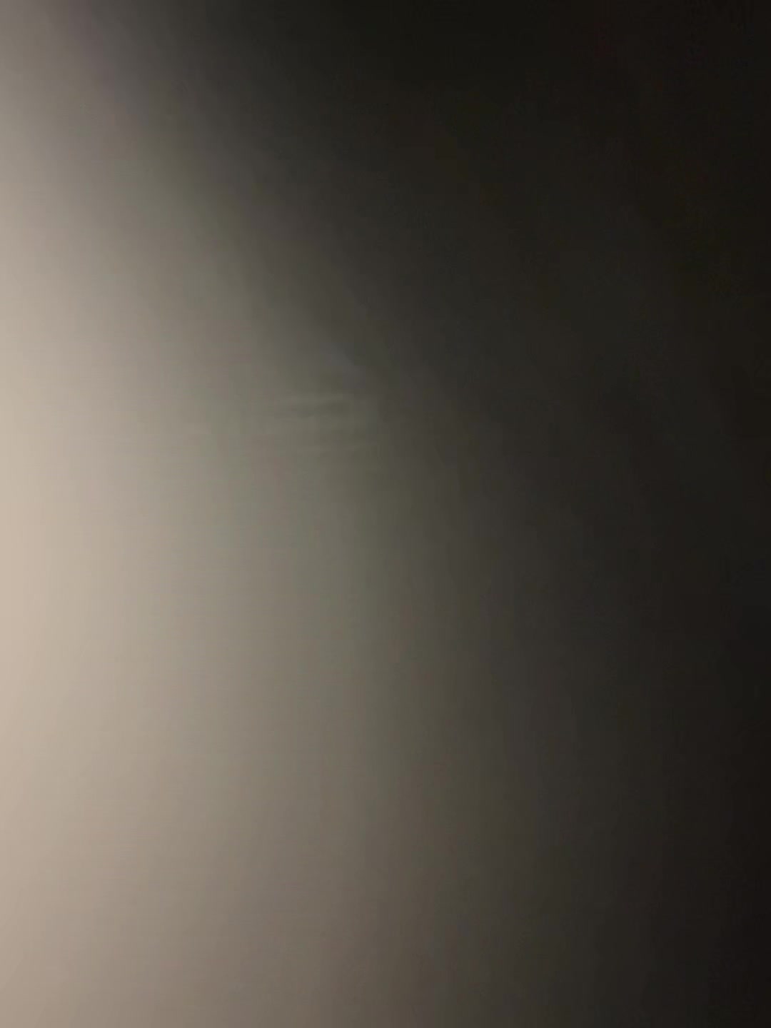 @𝓣𝓱𝓮 𝓙𝓮𝓵𝓵𝔂 𝓕𝓲𝓼𝓱🪼