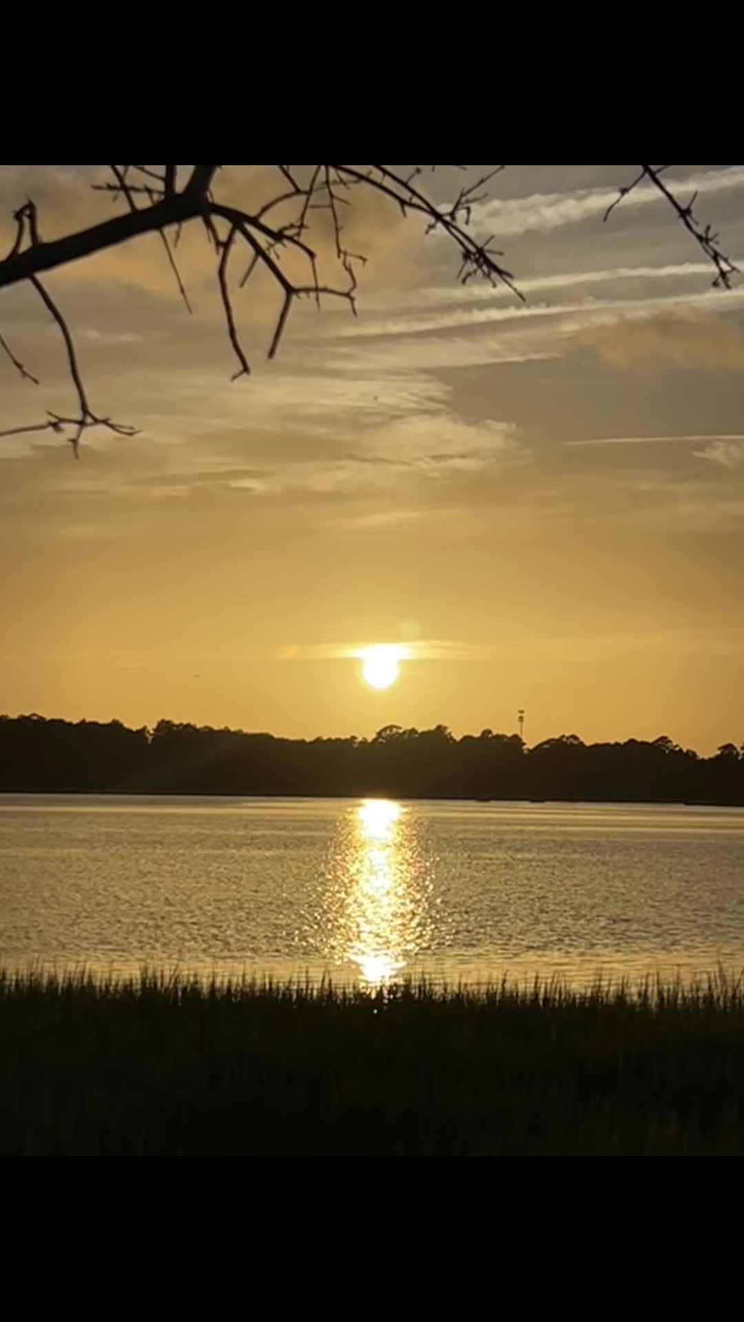 @munguiaaa_maricela84🦋