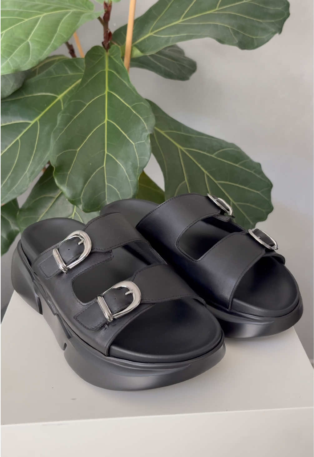 @guidomaggishoes