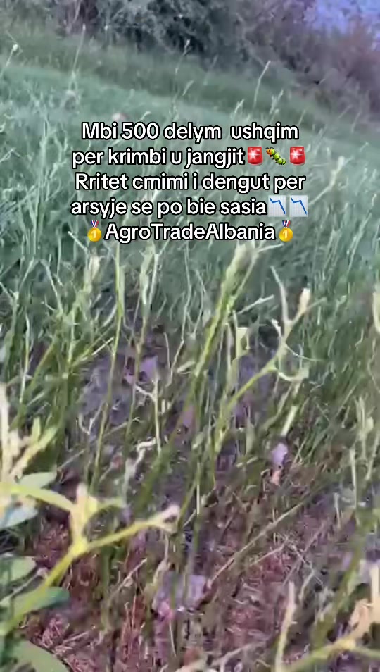 @AgroTradeAlbania