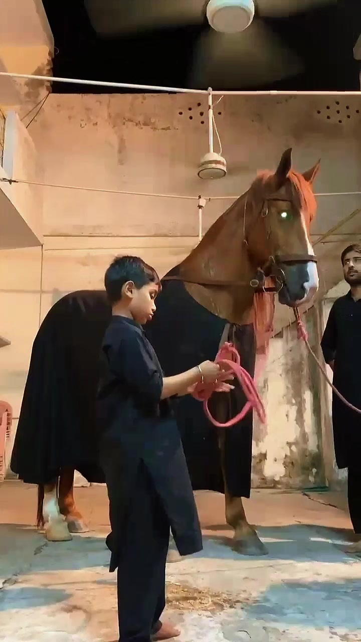 @مرکزی ذوالجناح تلہ گنگ