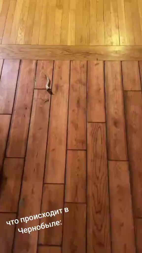 @слава
