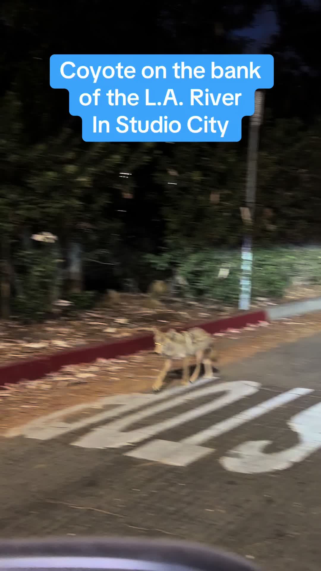 @L.A. in a Minute