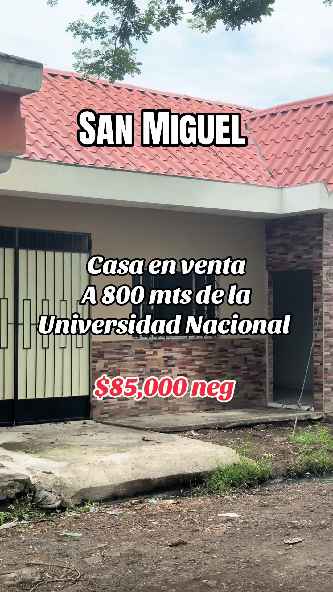 @Marco Ortiz🧸
