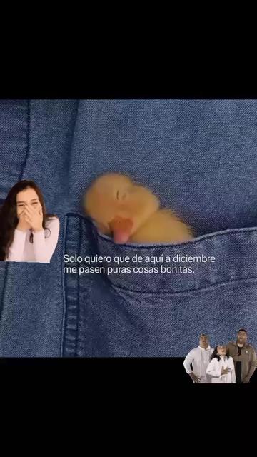 @damaris. mayorga5
