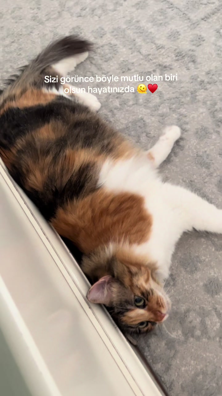 @konusankediminnos