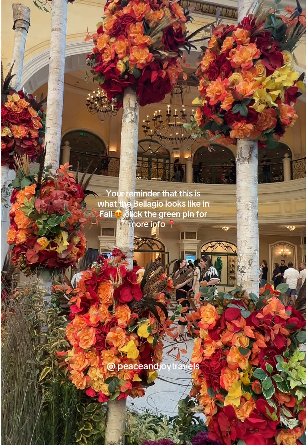 @peaceandjoytravels