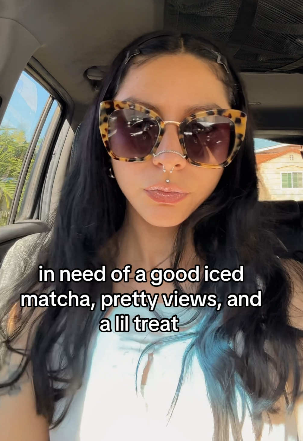 @roci 𓆣