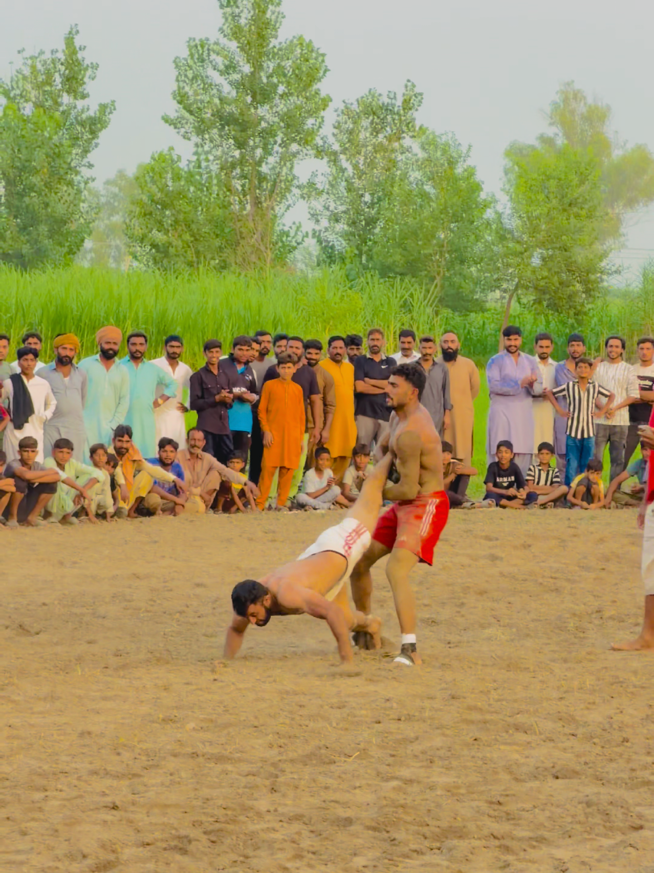 @Zamran Haroon🇵🇰