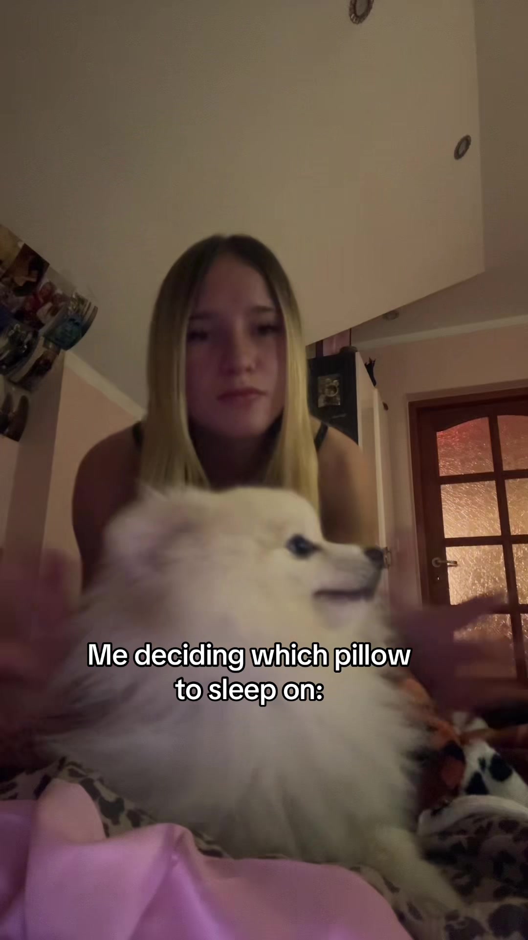 @Siostra Ptaszka