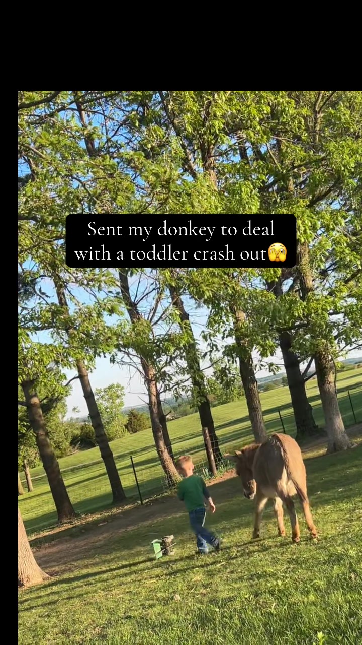 @Taylorrose