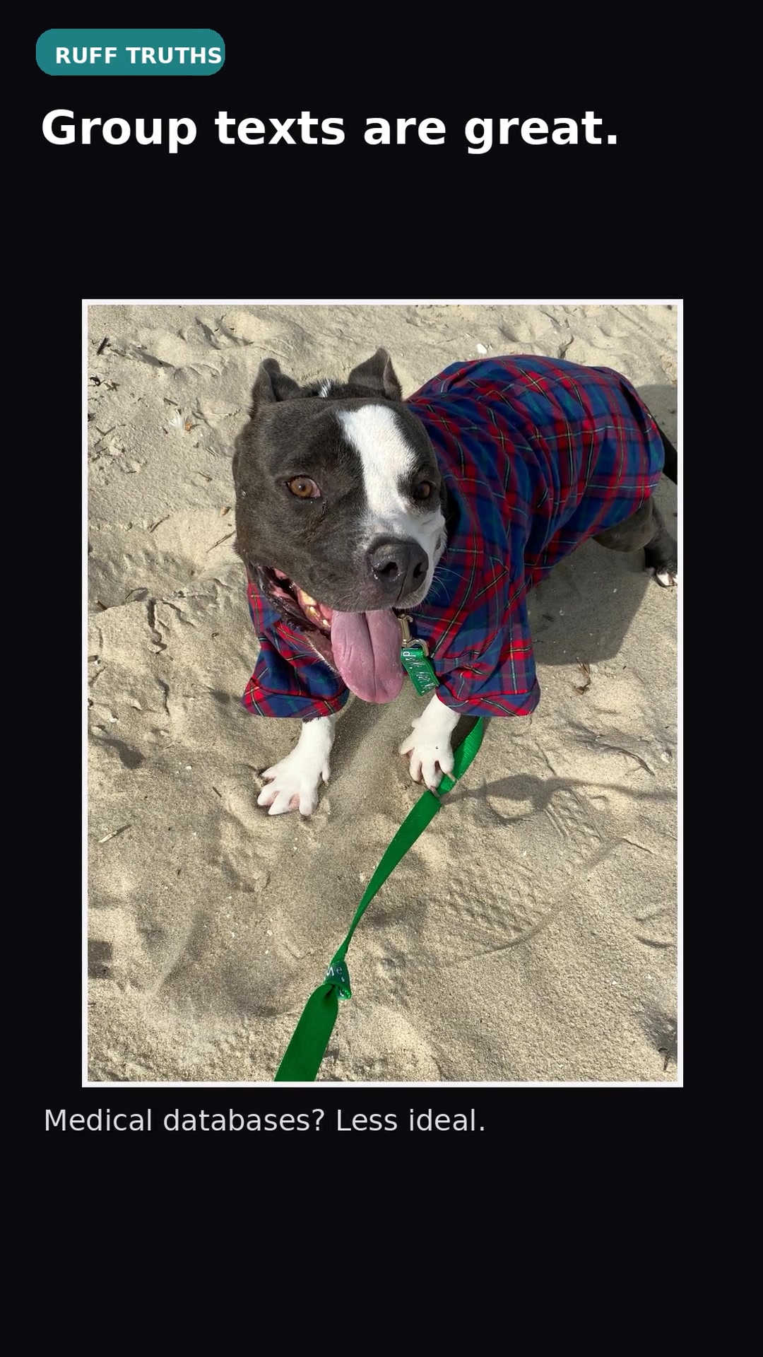 @Paws From Afar Rescue