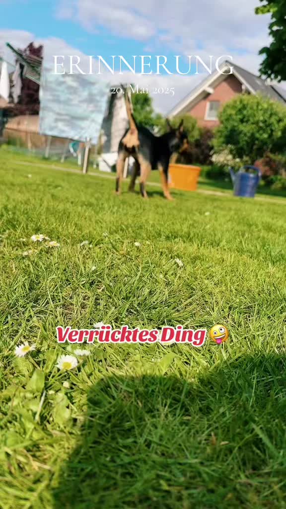 @🐕TiZi❤️🔥