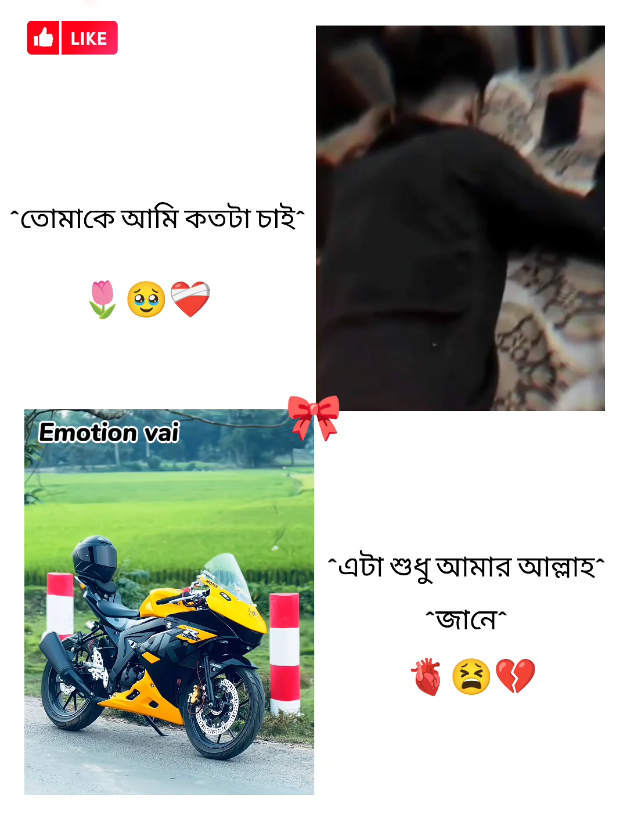 @✿BIKE LOVER✿
