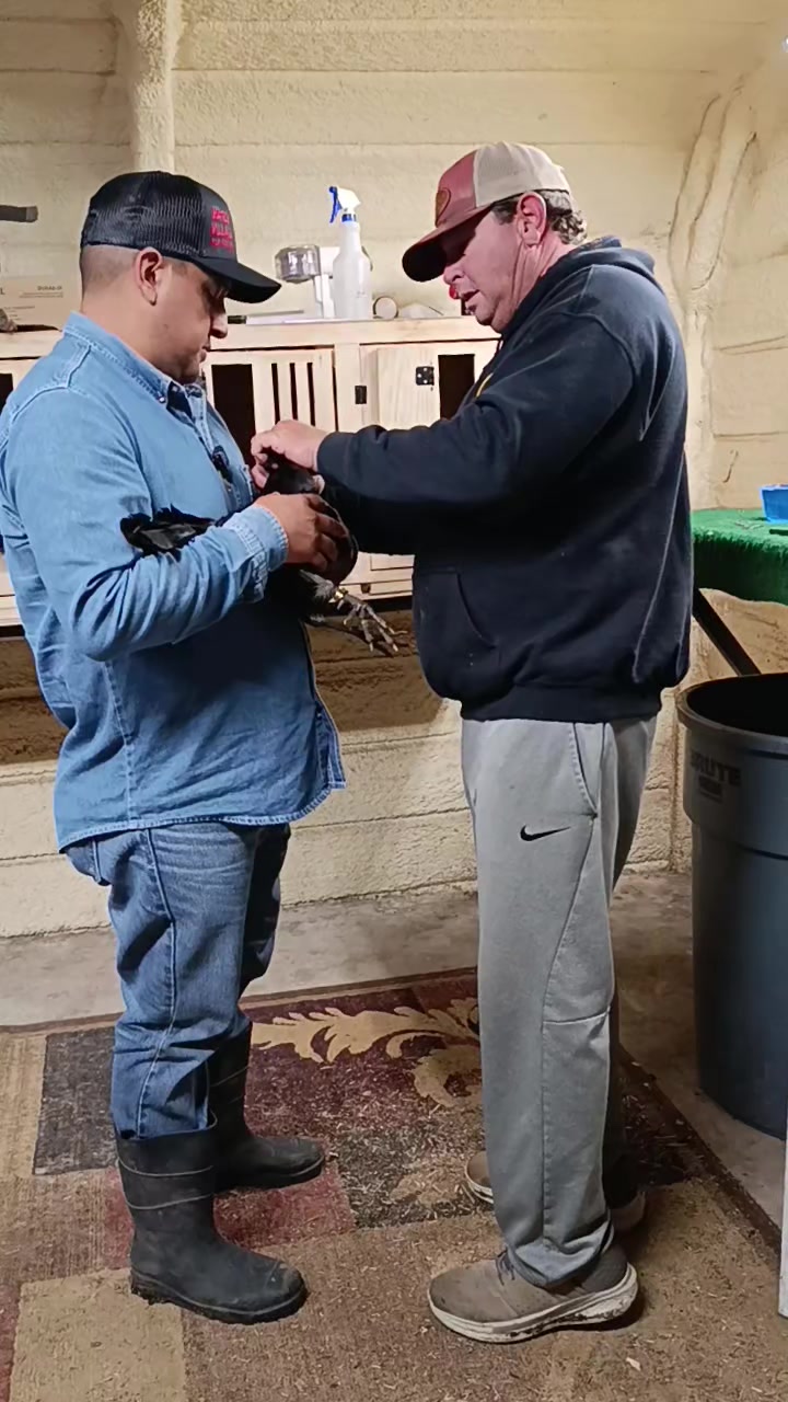 @Toño Moreno