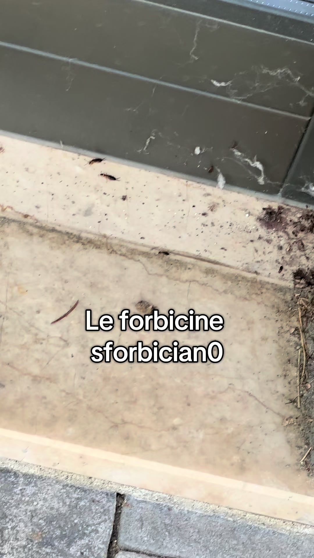 @giadamigdalagiliberti