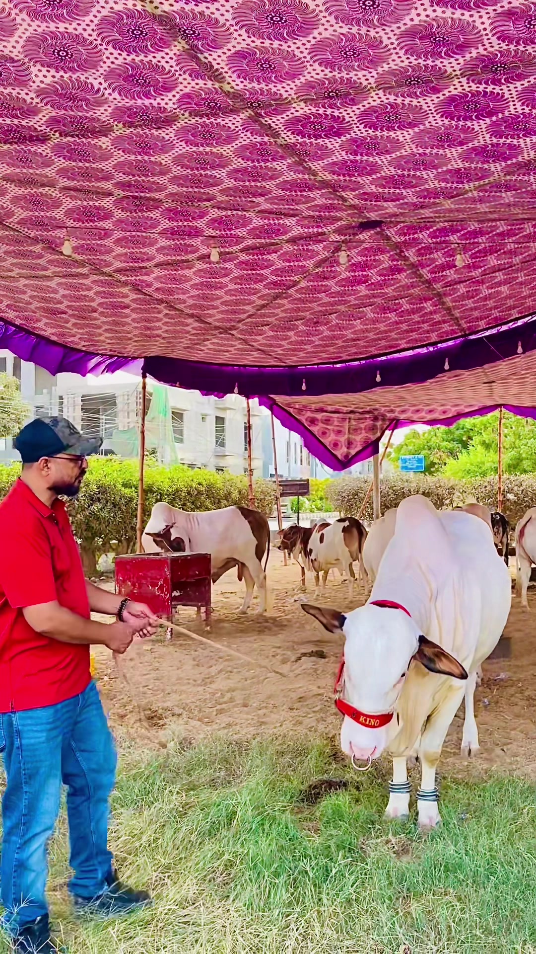 @Bala khan