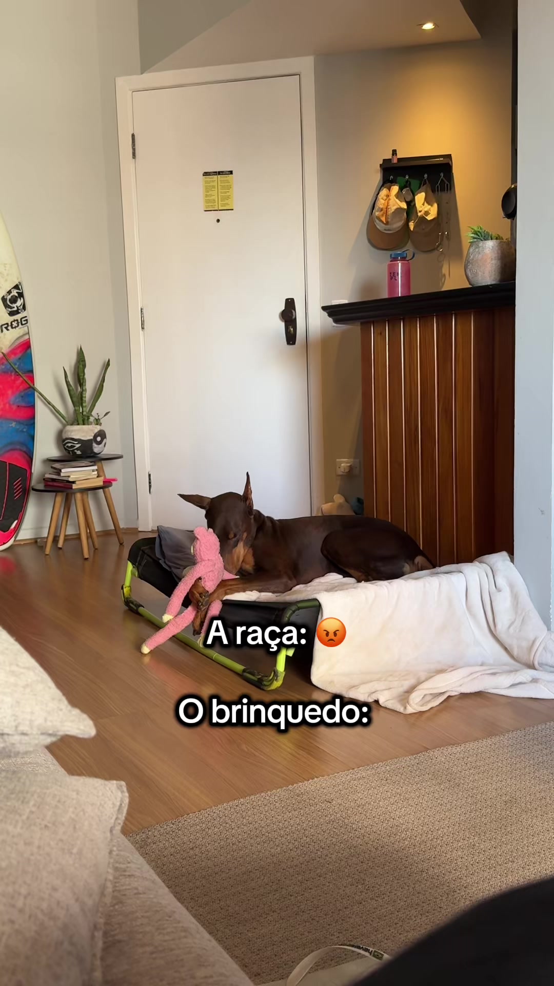@Gabriel Di Garcia