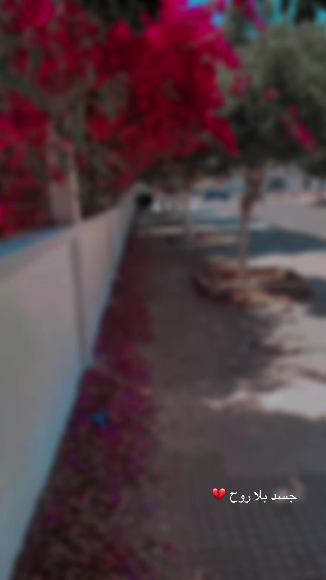 @𝓡𝓑