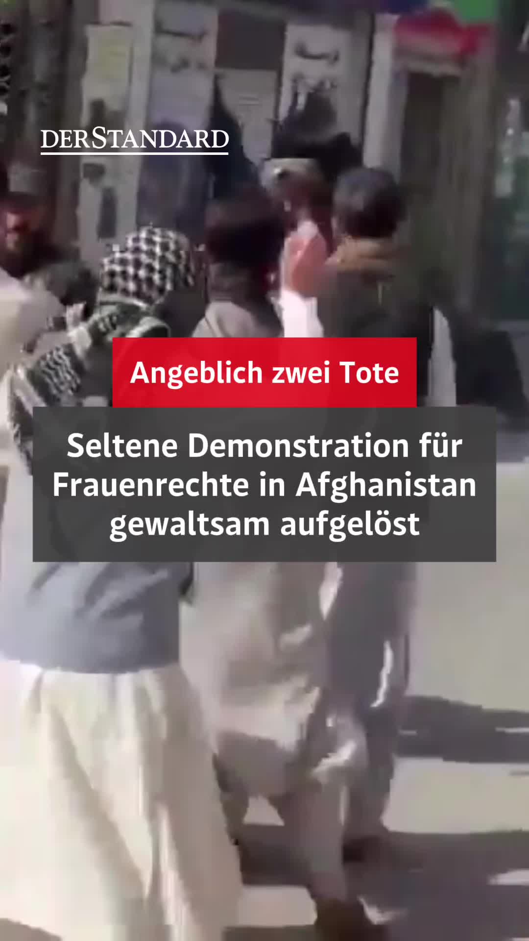 @DER STANDARD News
