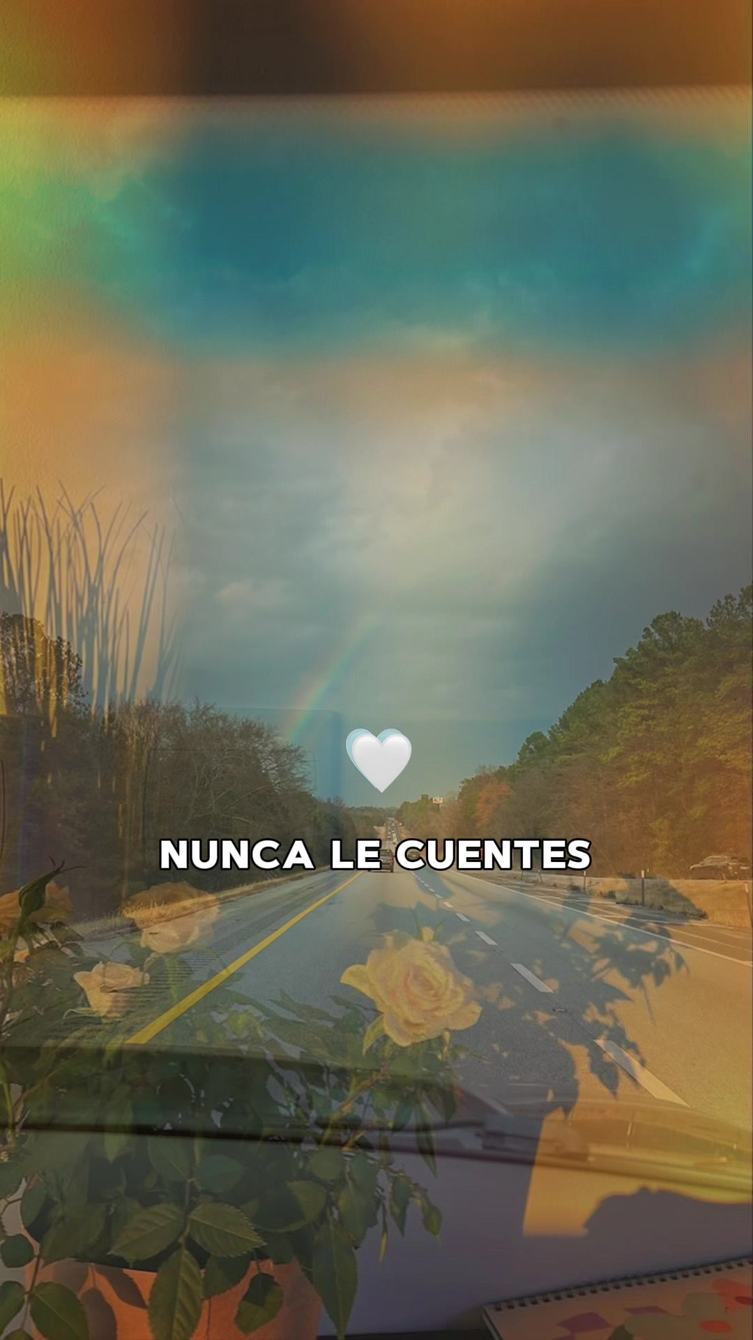 @Yosmari🩷
