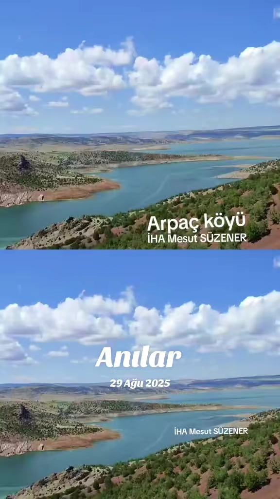 @mesut süzener