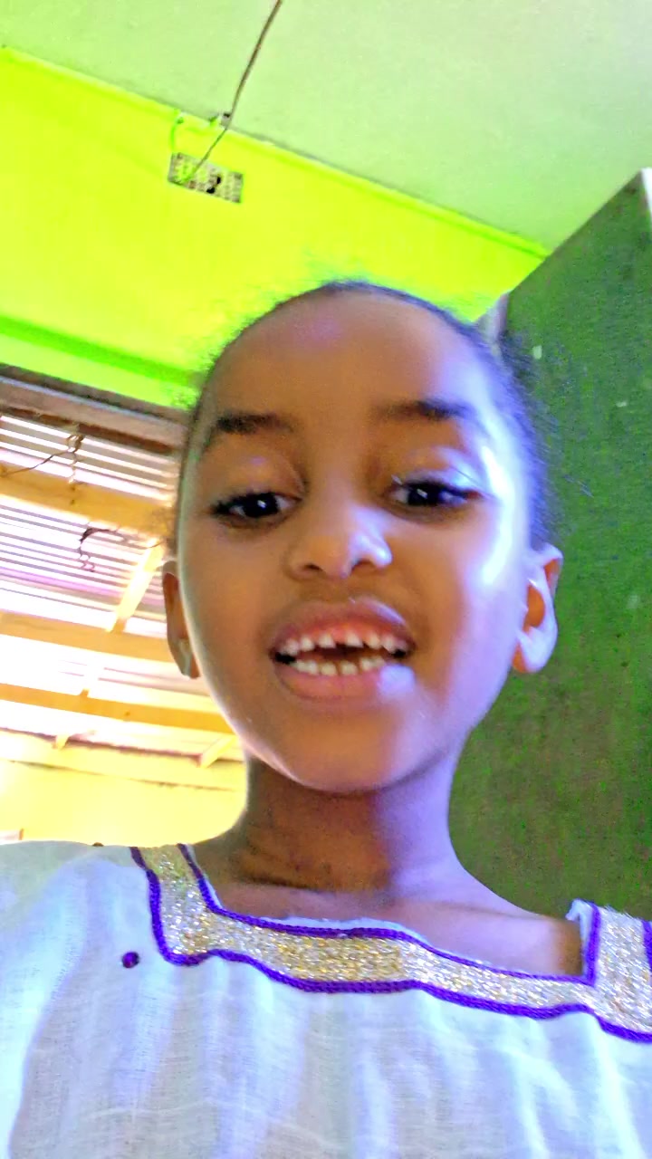 @madamo araba