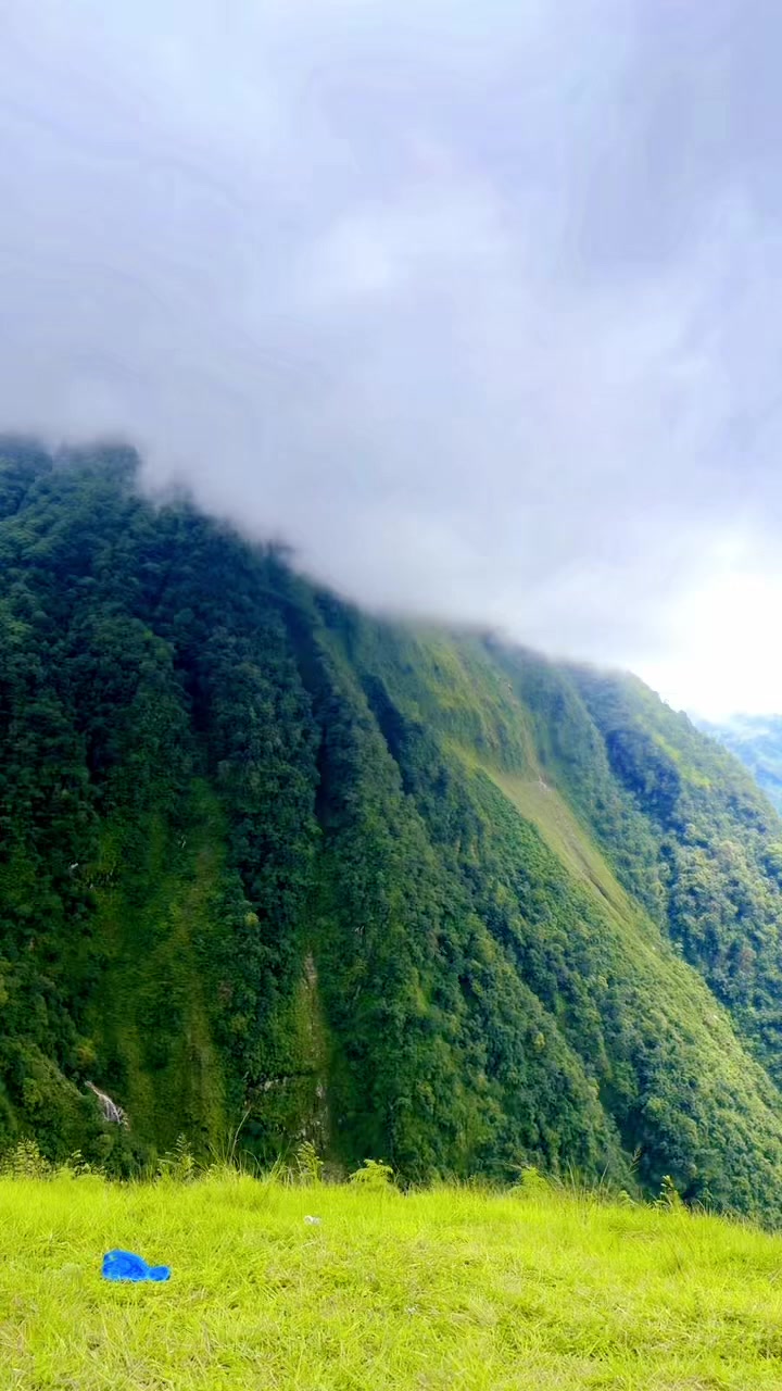 @Sarda Bidari