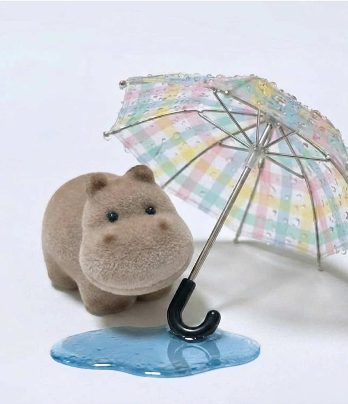 @Baby Hippo