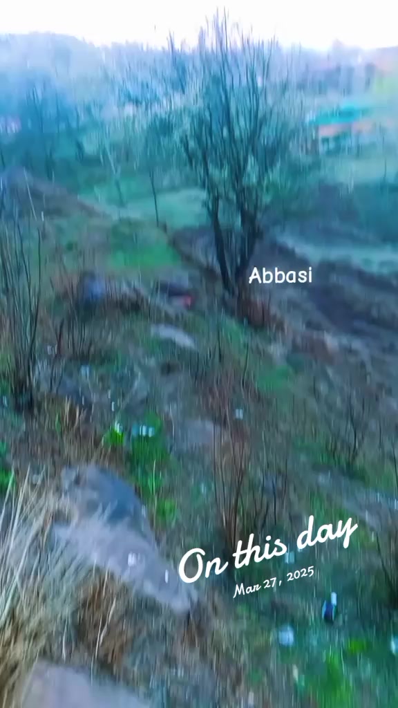 @SabaAbbasi