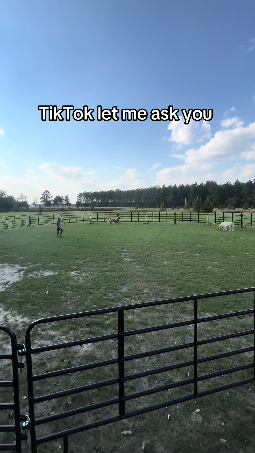 @itiswellstables