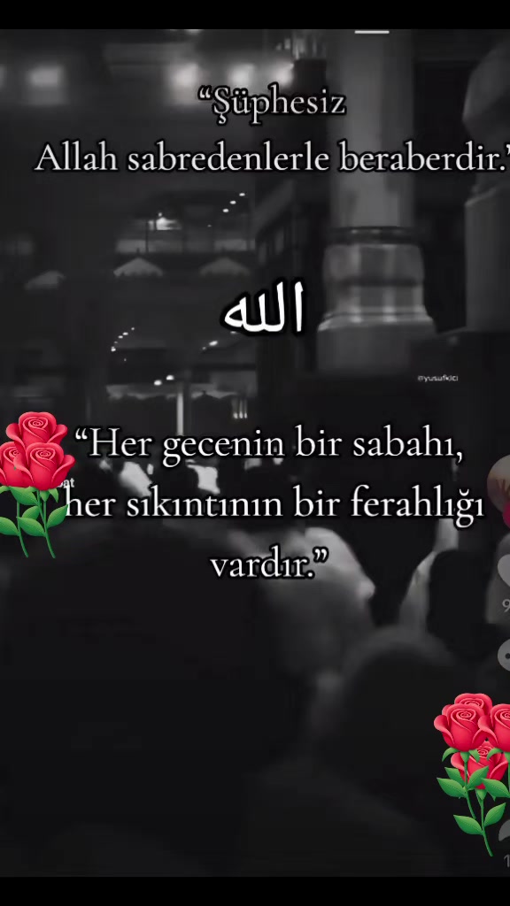 @Talip Ezman