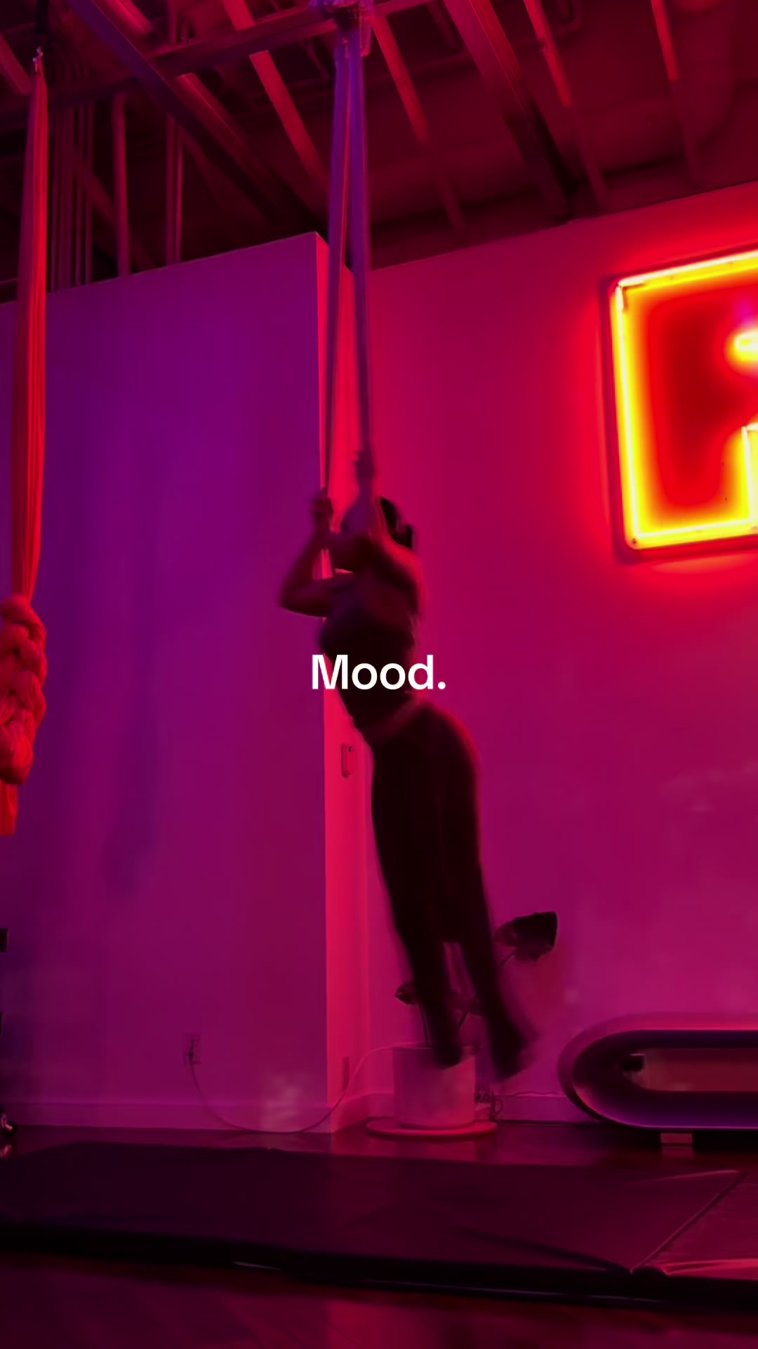 @aliyanamcdaniel
