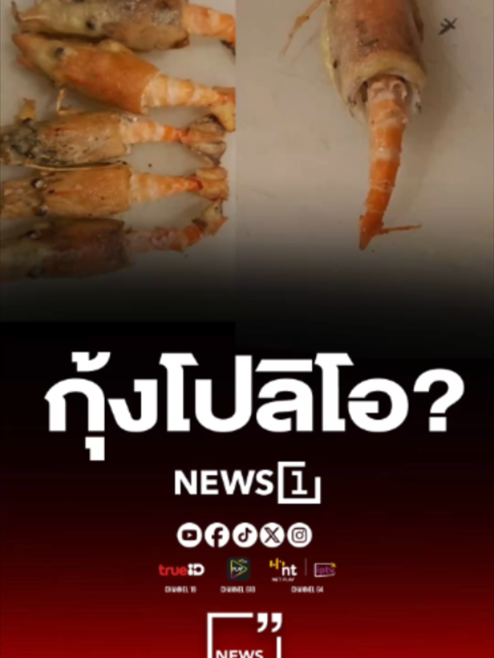 @news1