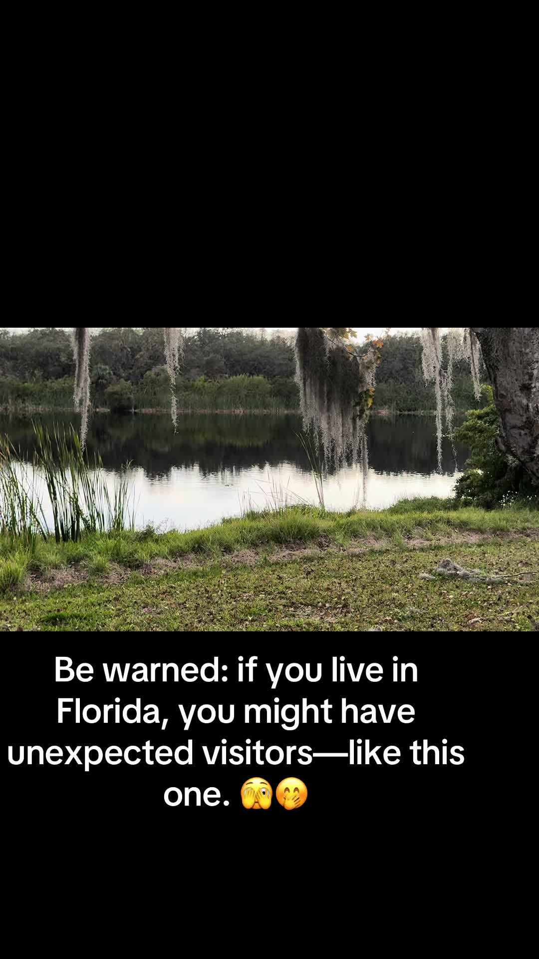@Vafa