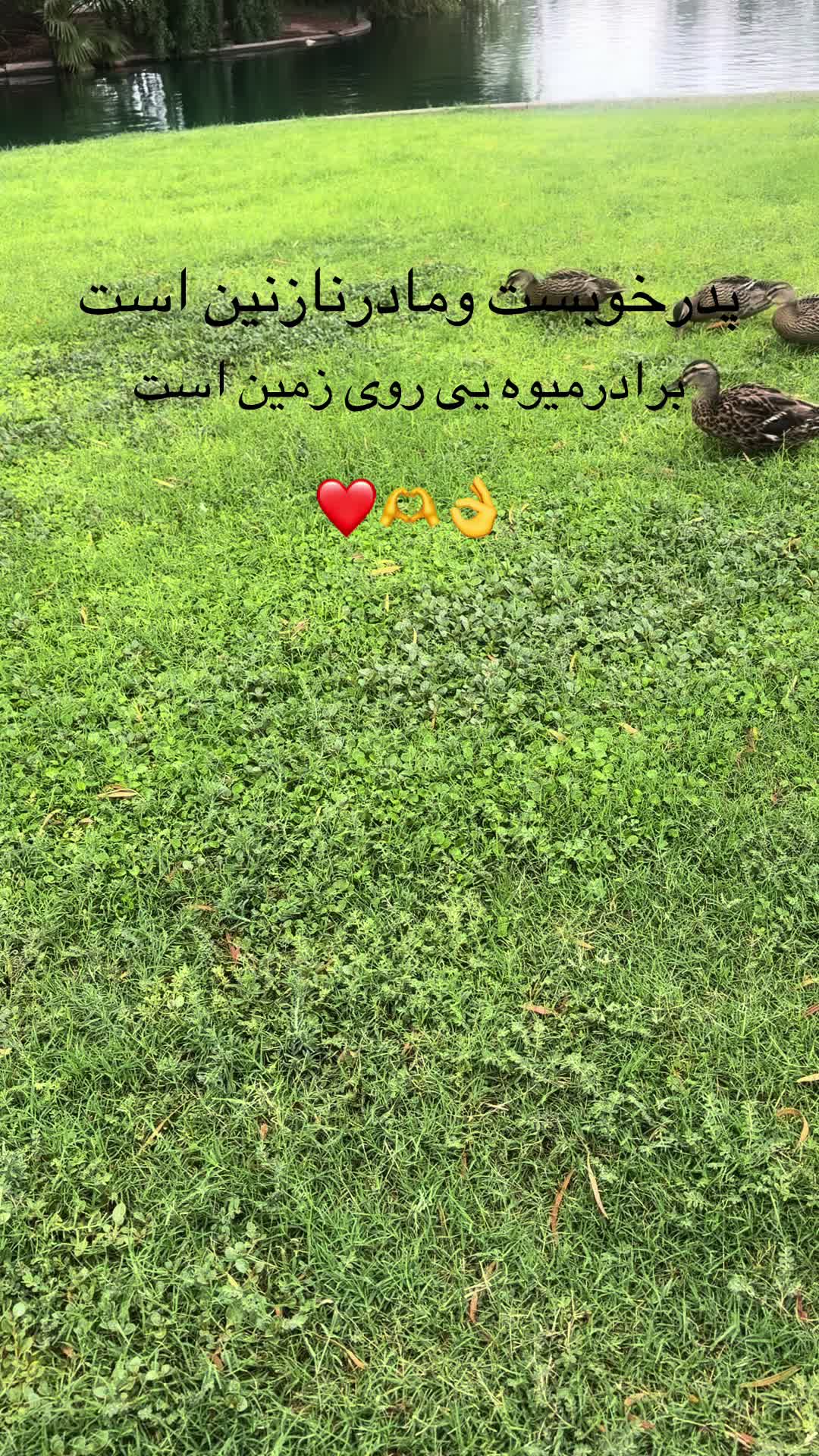 @Star🌟🇺🇸🇦🇫