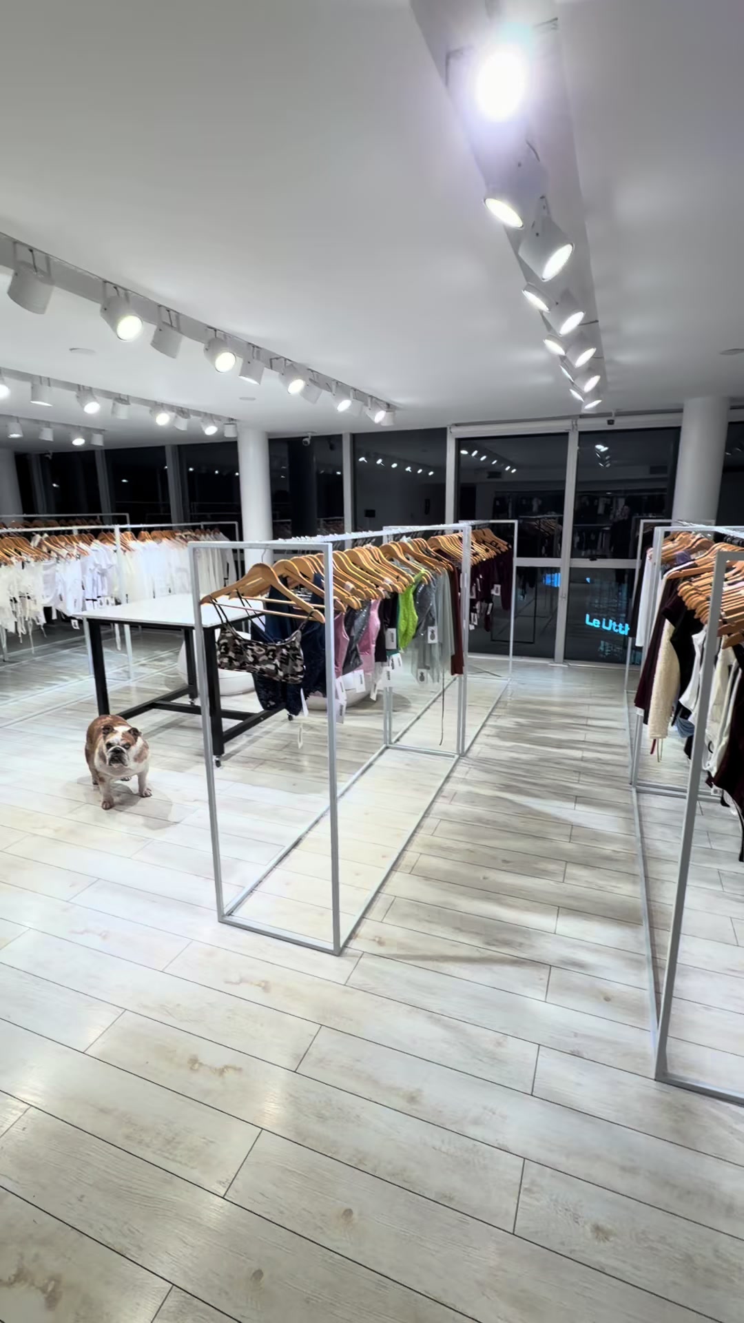@Pineapple Showroom