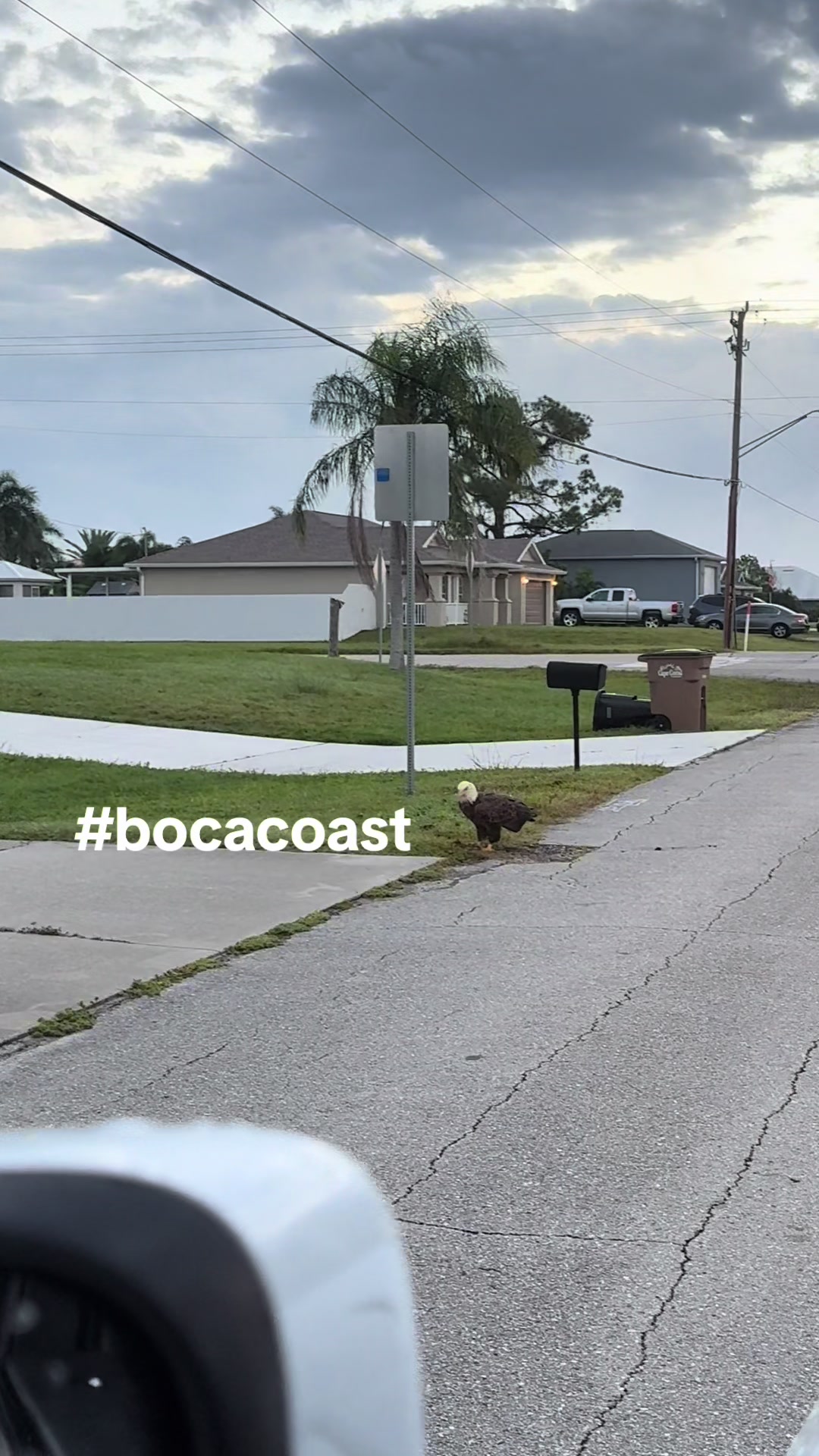@BocaCoast (D&D Matlacha Bait)