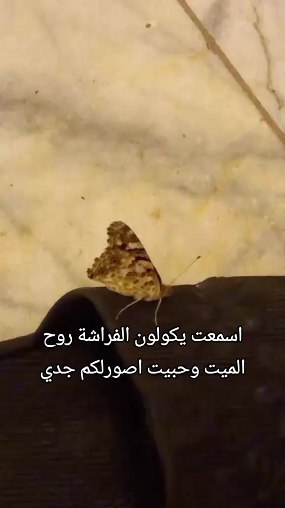 @فلوكات اني ومرت ابوي