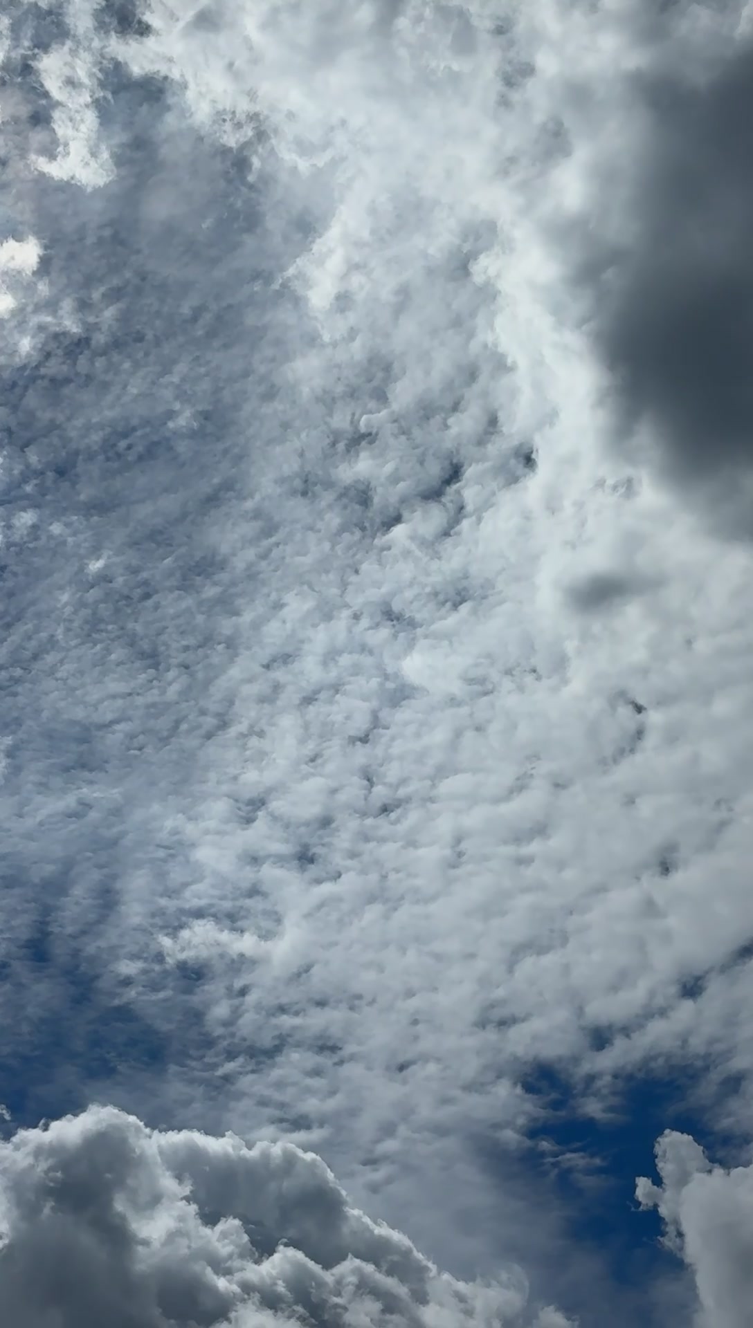 @twin 🤩🚀👽🌤️🔭🧐💙🩵🧪