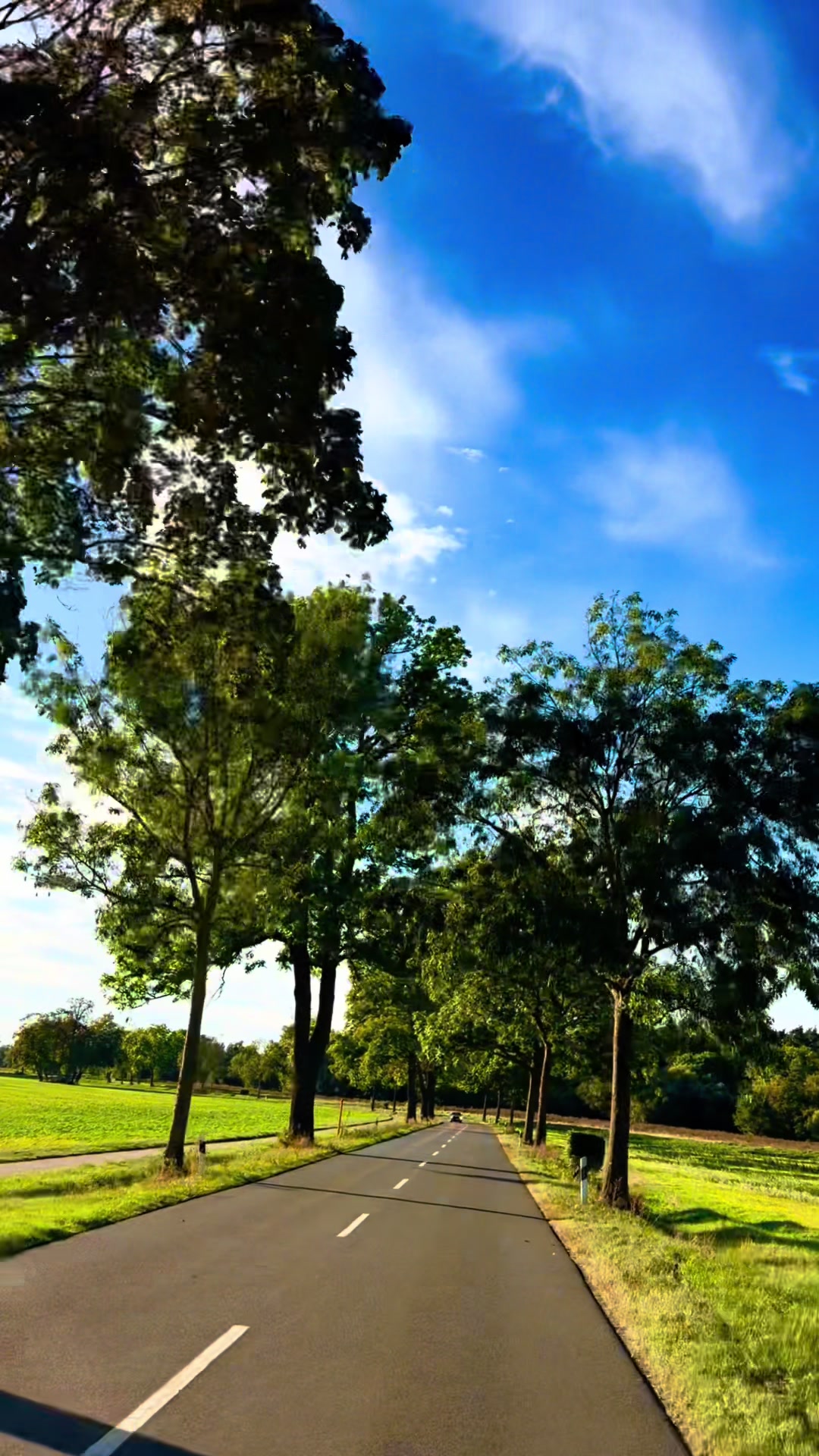 @HiraiZerdüş