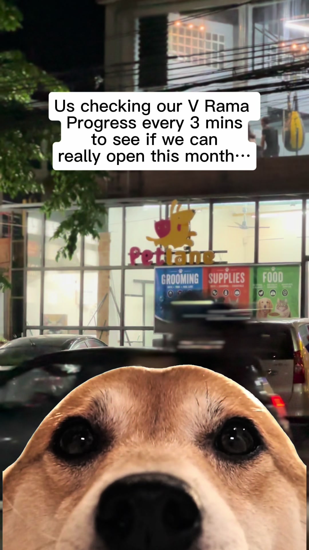 @petlanecebu
