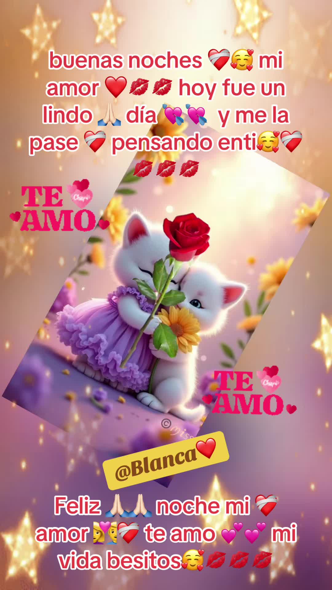 @Blanca Ayala