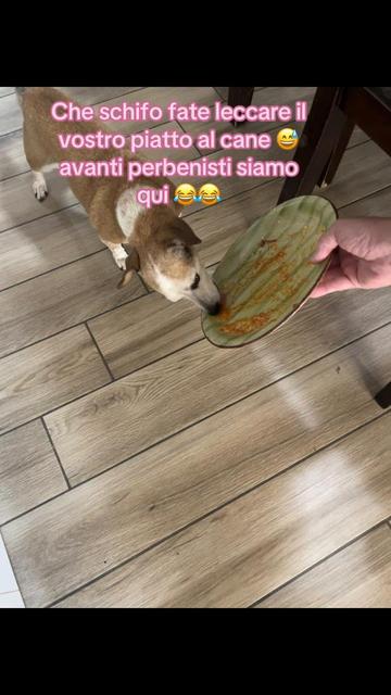 @Tanya Volontaria Animalista