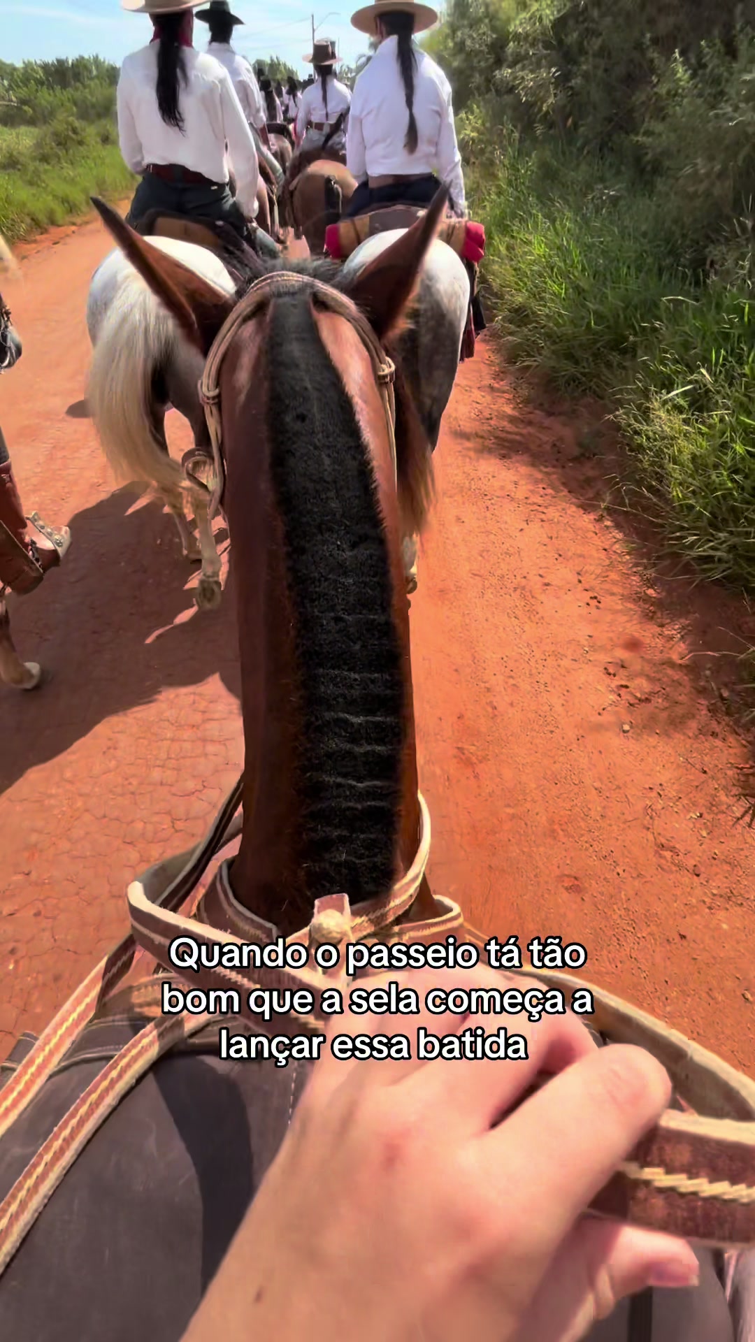 @Colorado da Baldez 🤎🐴