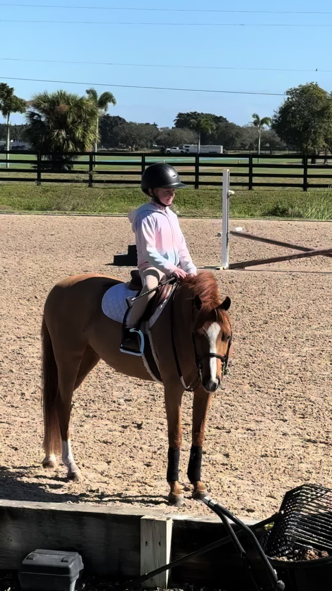 @ckponies