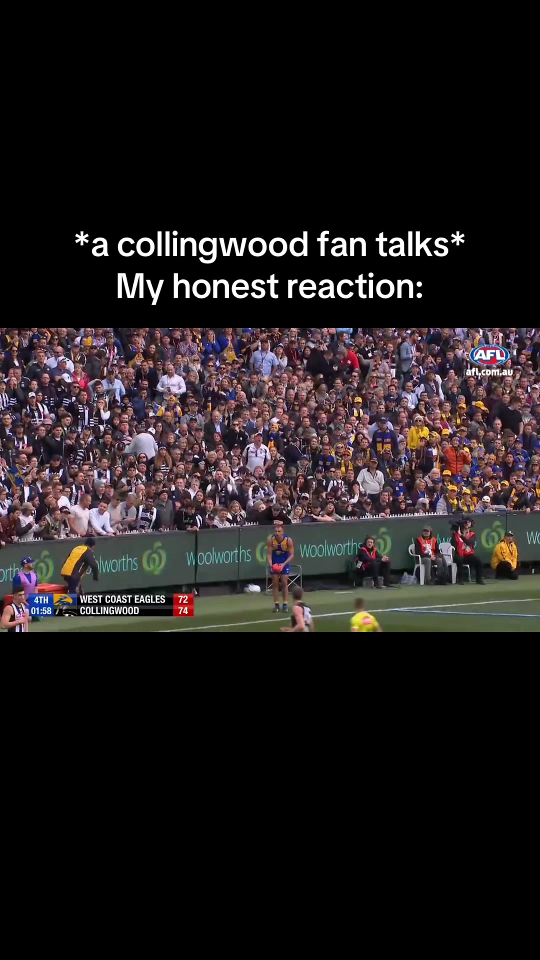 @Dom Sheed 🦅