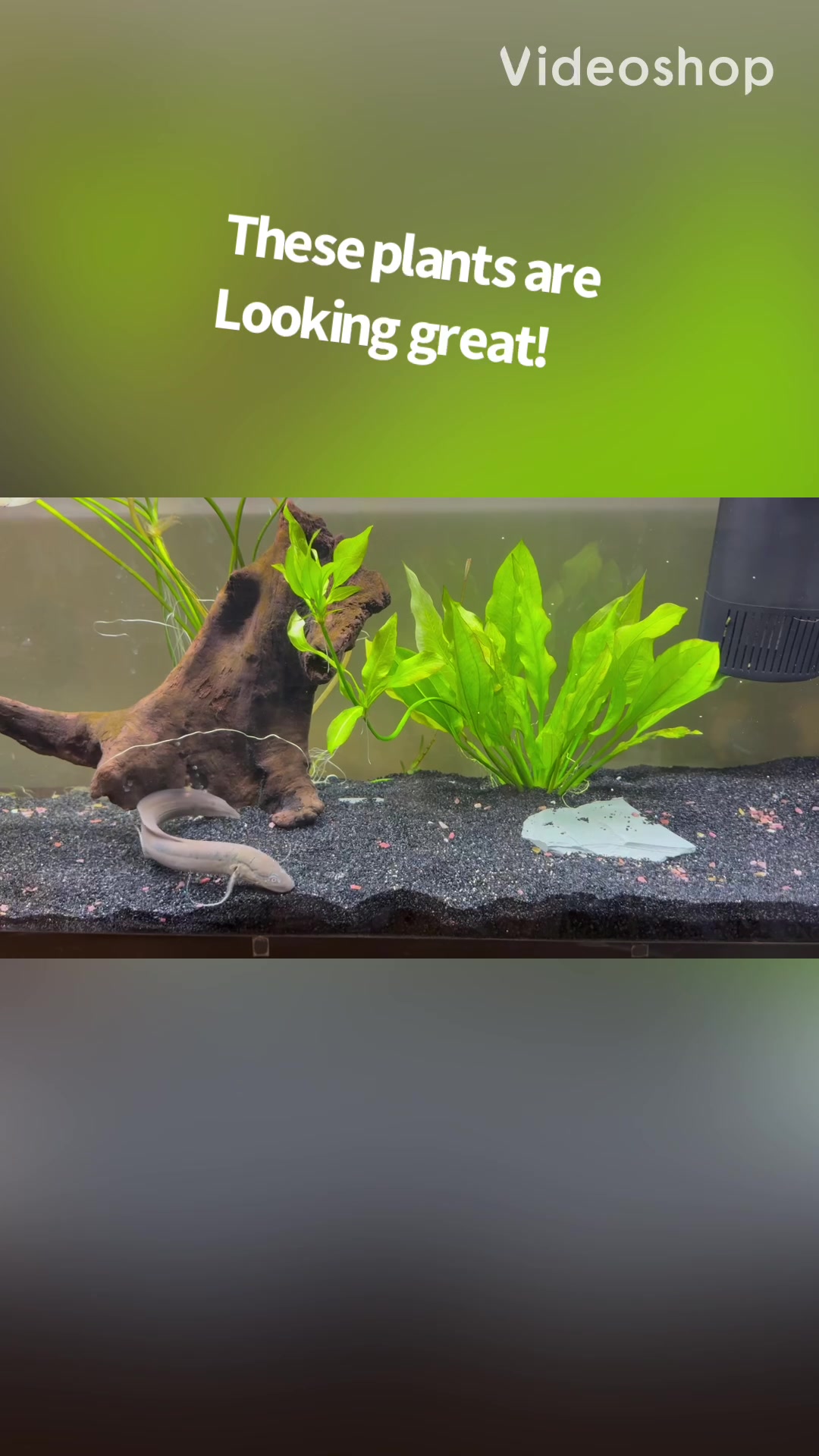 @fishdaddy2002
